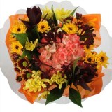 Arrangement Let's Eat 8 Bouquets